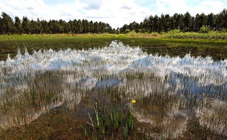 Inventaire des zones humides de la CUB/Bordeaux Métropole