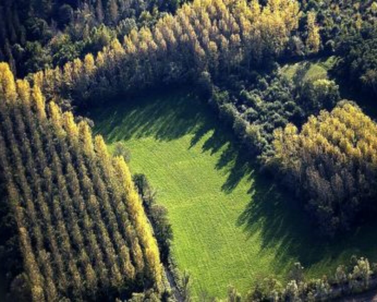 Pré_identification de zones humides par Solenvie pour mesures compensatoires