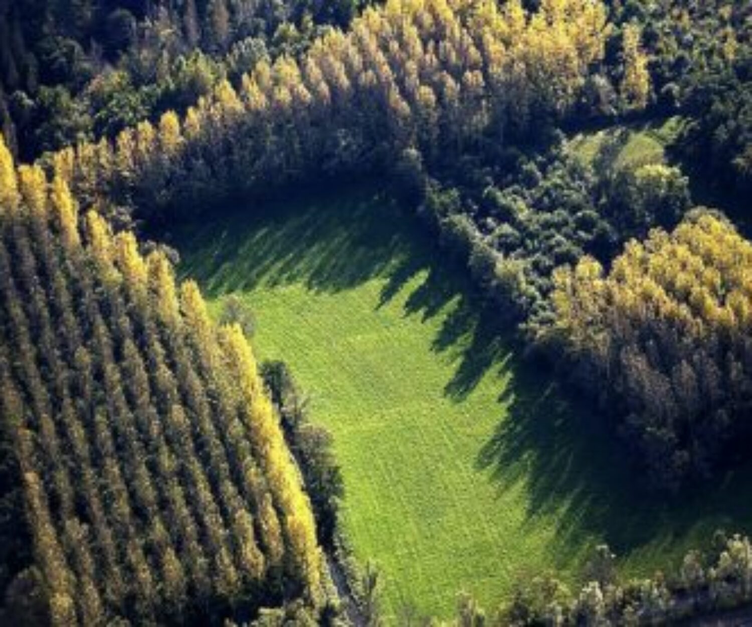 Pré_identification de zones humides par Solenvie pour mesures compensatoires