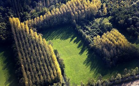 Mesures compensatoires : Pré-identification zone humide et expertise écologique