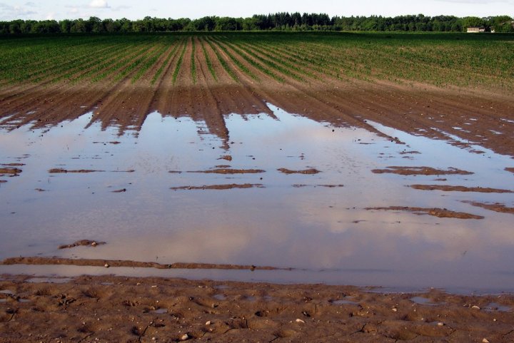 L’ampleur des inondations est accentuée par les mauvaises pratiques agricoles