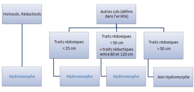 Diagramme des règles de décision pour déterminer le caractère hydromorphe ou non d’un sol