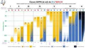 Morphologie des sols correspondant aux différentes classes GEPPA (adapté et complété par SOLENVIE d’après GEPPA, 1981 modifié)